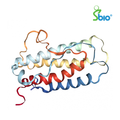 O-Glycan sample preparation kit